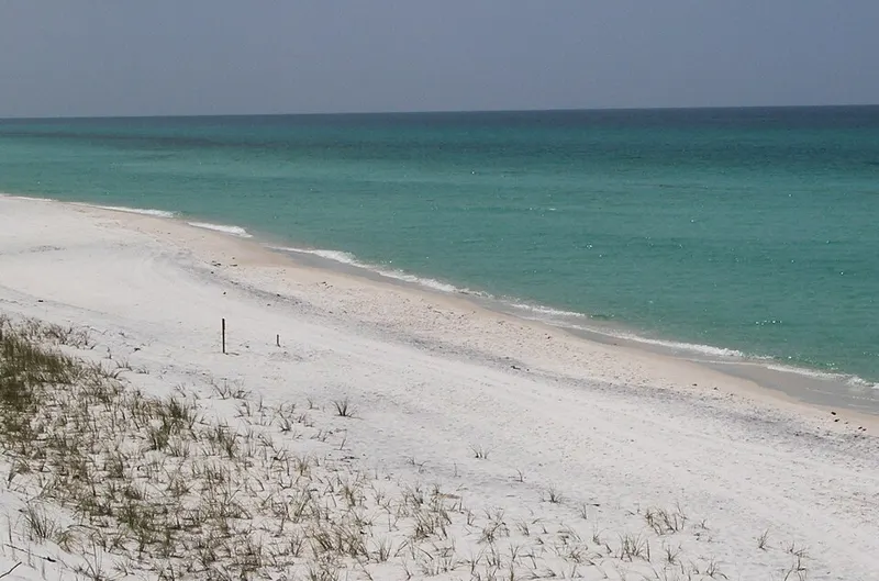 Dunes and beach at Grayton Beach