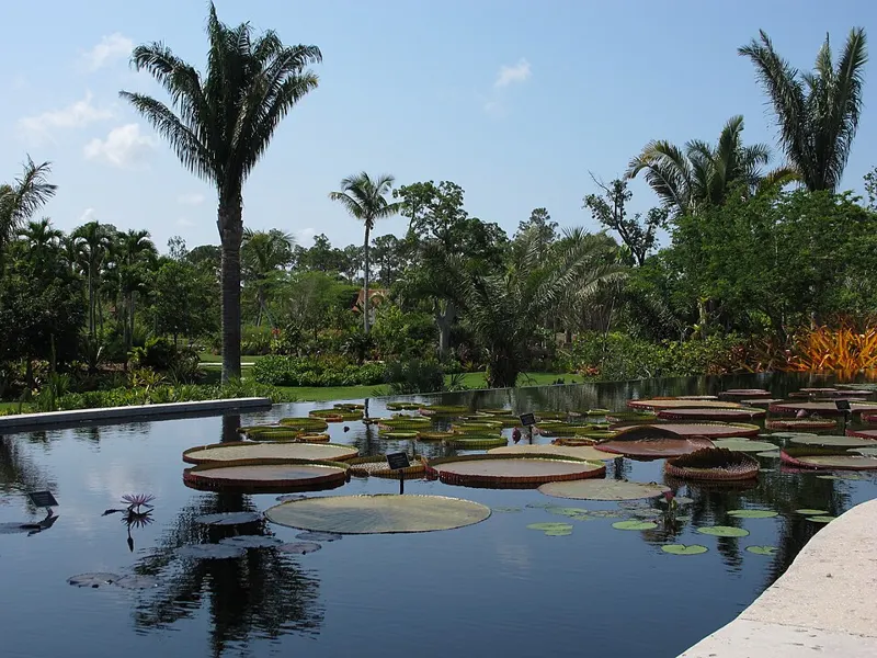 Gardens at Naples Botanical Garden