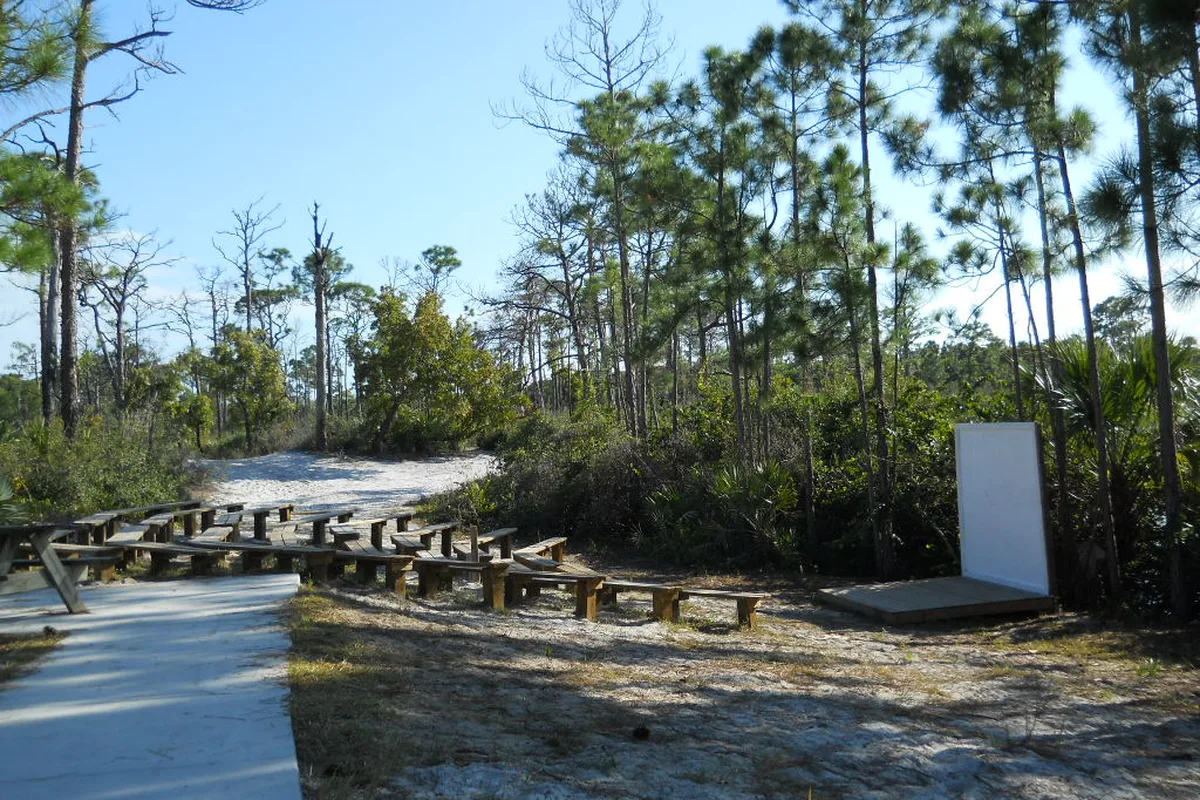 Landscape at Jonathan Dickinson State Park in Hobe Sound