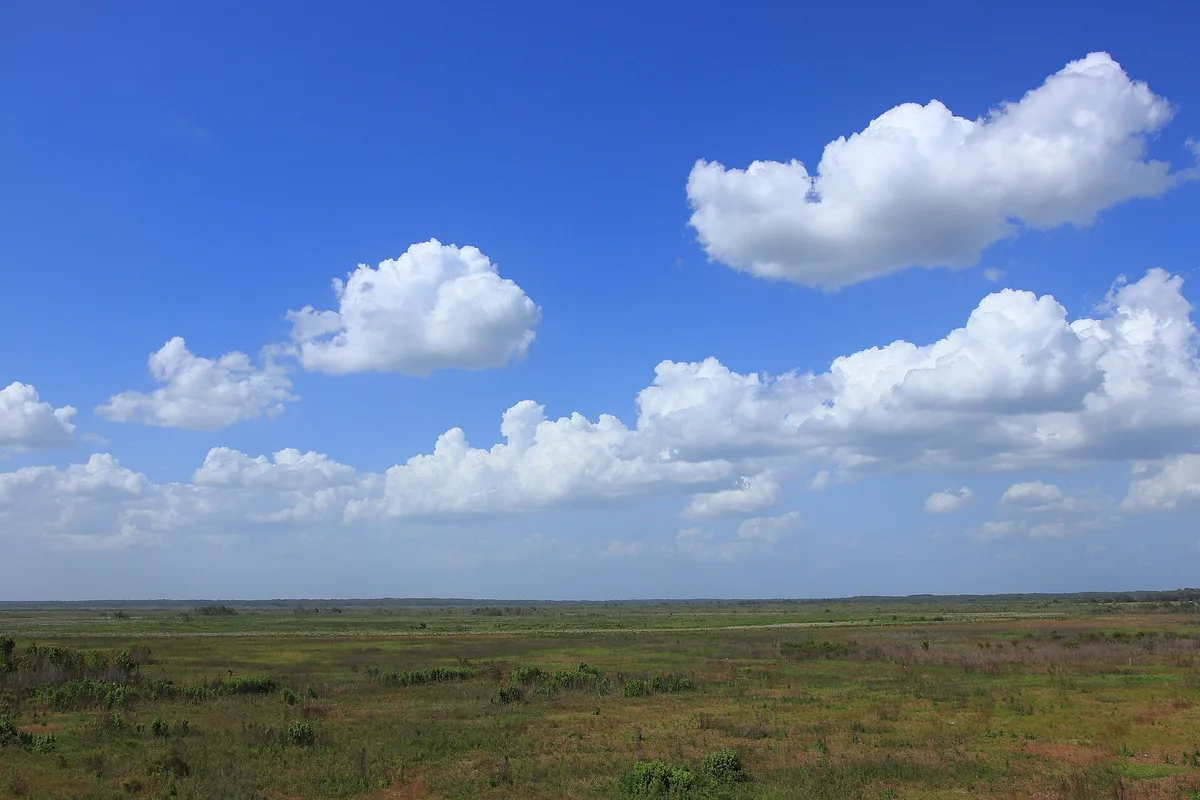 Wide green prairie and wetlands seen from the observation tower at Paynes Prairie